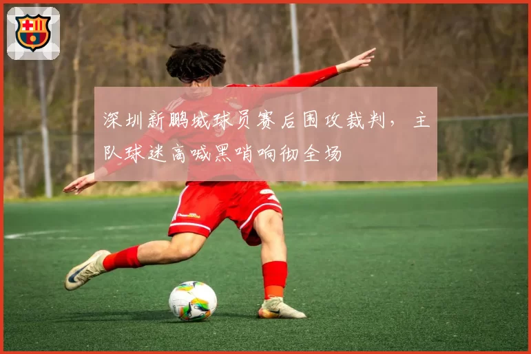 深圳新鹏城球员赛后围攻裁判,主队球迷高喊黑哨响彻全场