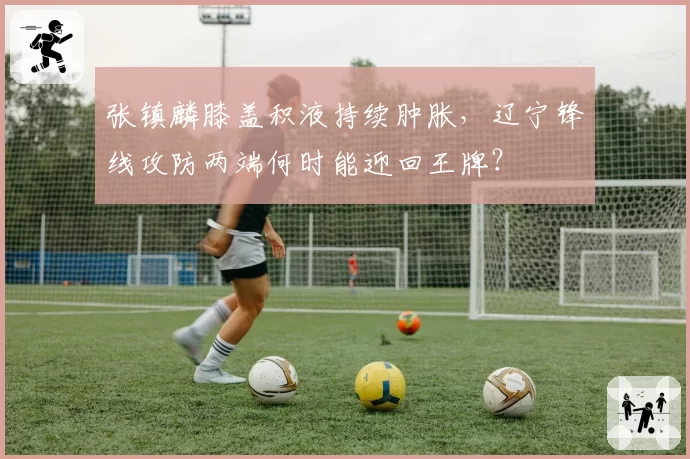 张镇麟膝盖积液持续肿胀，辽宁锋线攻防两端何时能迎回王牌？