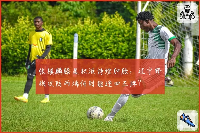 张镇麟膝盖积液持续肿胀，辽宁锋线攻防两端何时能迎回王牌？