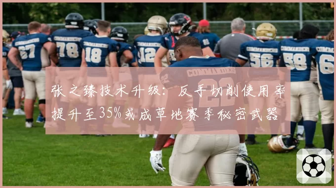 张之臻技术升级：反手切削使用率提升至35%或成草地赛季秘密武器