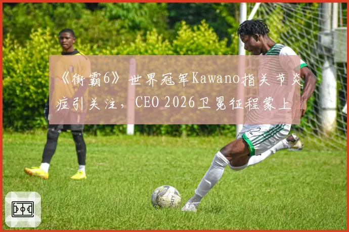 《街霸6》世界冠军Kawano指关节炎症引关注，CEO 2026卫冕征程蒙上阴影